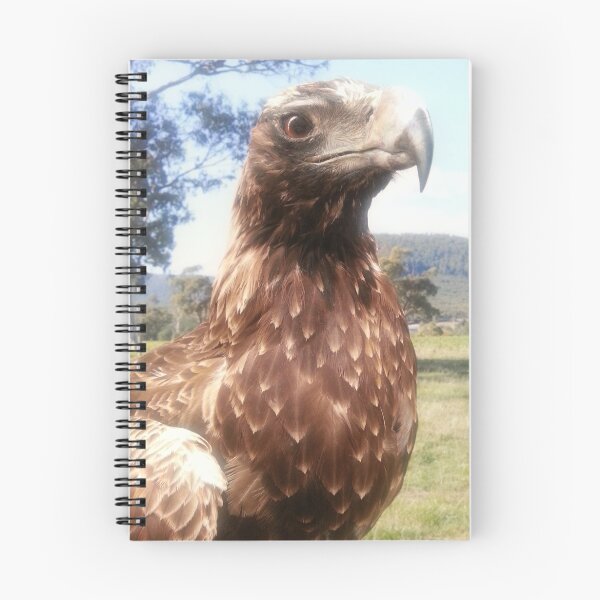 Artikelvorschau, Wedge Tailed Eagle entworfen und verkauft von Judi Rustage.