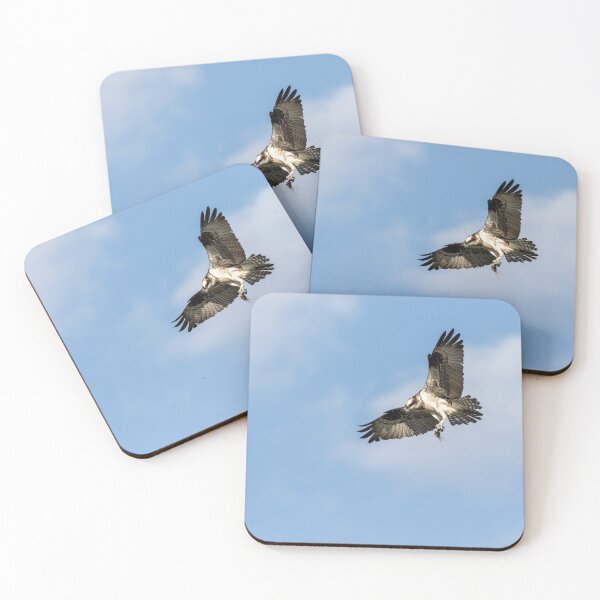 Item preview, Osprey 2021-3 designed and sold by Thomasyoung.