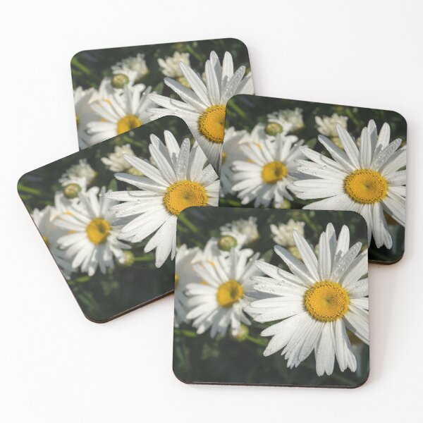 Item preview, Luminous Summertime Trio - Daisies Dewdrops and Sunshine designed and sold by Georgia Mizuleva.