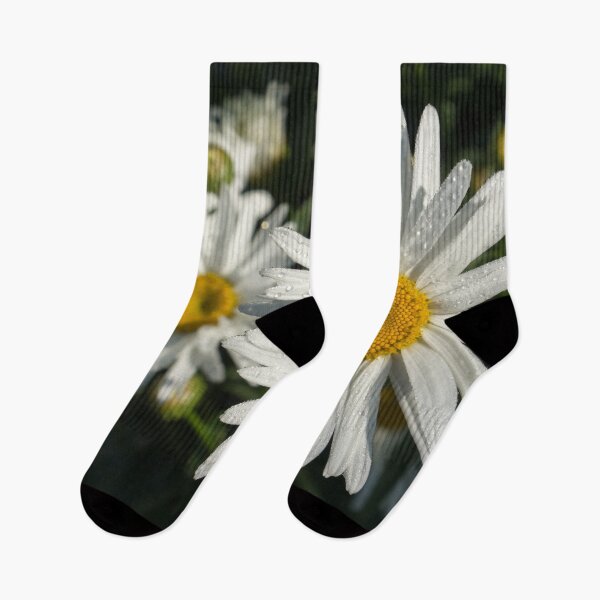 Item preview, Luminous Summertime Trio - Daisies Dewdrops and Sunshine designed and sold by Georgia Mizuleva.