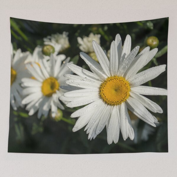 Item preview, Luminous Summertime Trio - Daisies Dewdrops and Sunshine designed and sold by Georgia Mizuleva.