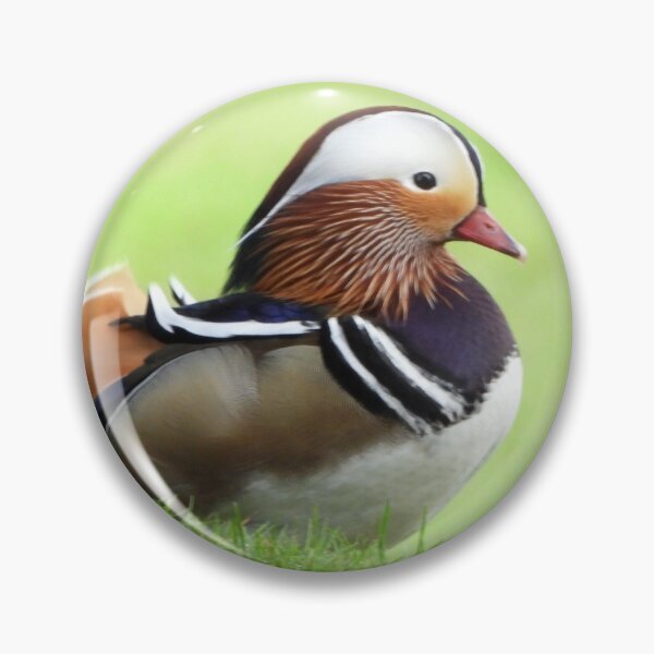 Item preview, A Wonderful Mandarin Duck designed and sold by Karen Thomson.