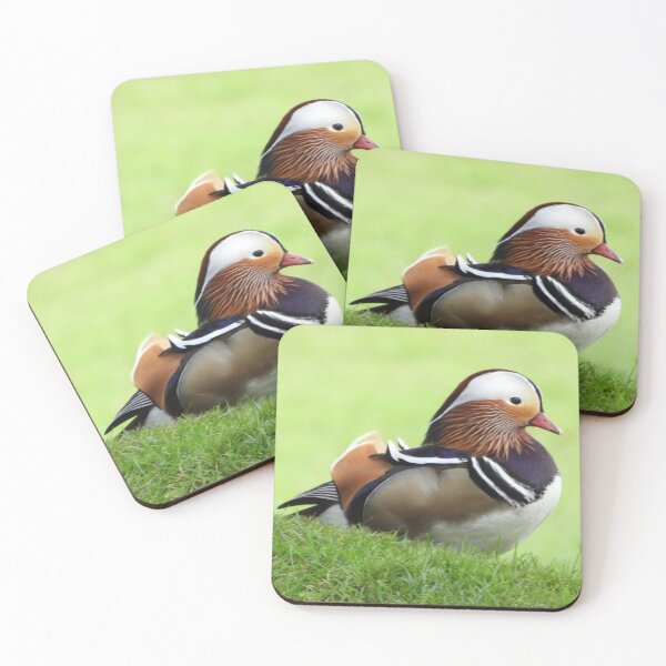 Item preview, A Wonderful Mandarin Duck designed and sold by Karen Thomson.