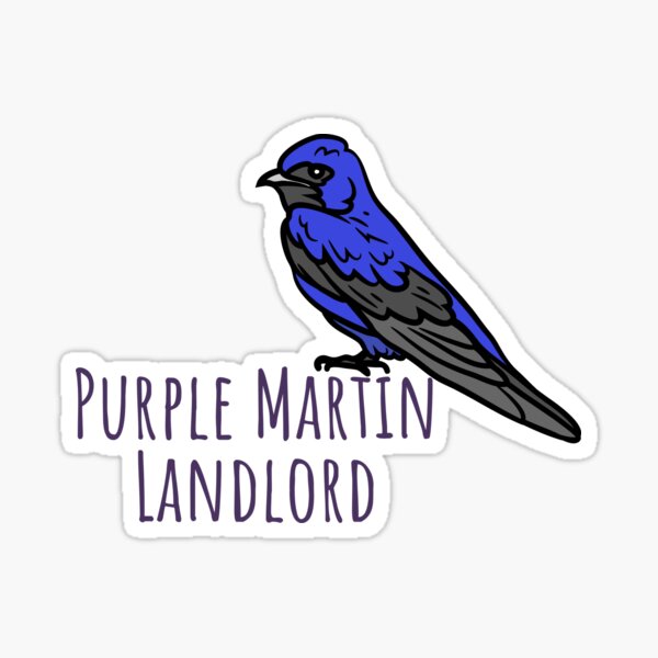 Purple Martin landlord birding Sticker