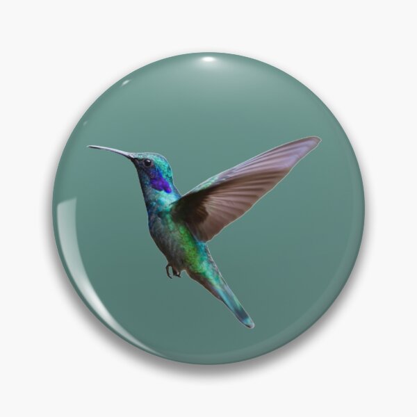 Artikelvorschau, Kolibri Design entworfen und verkauft von luckyturtles.