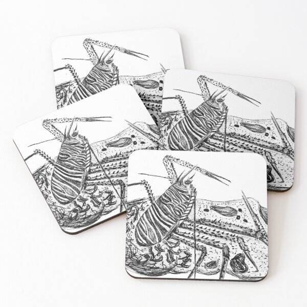Item preview, Munida rugosa  designed and sold by homarusgammarus.