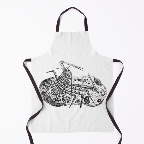 Item preview, Munida rugosa  designed and sold by homarusgammarus.