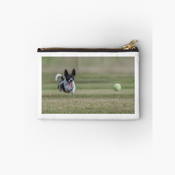 Item preview, Chasing ball designed and sold by Jorge's Photography.