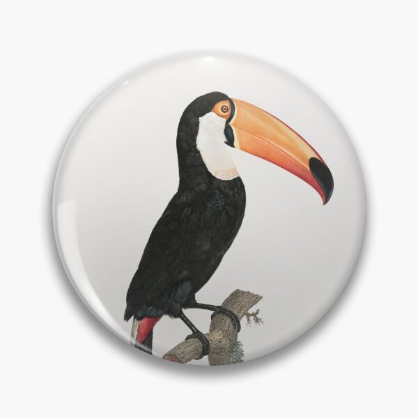 Item preview, Toucan old painting from Jacques Barraband (1767-1809) designed and sold by paulo silveira.