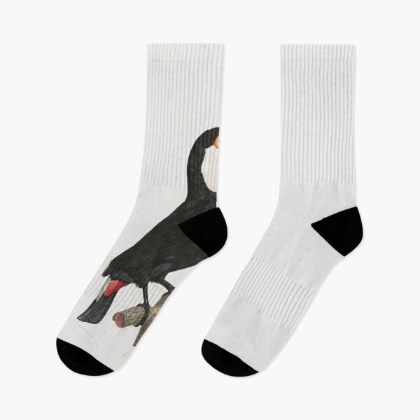 Item preview, Toucan old painting from Jacques Barraband (1767-1809) designed and sold by paulo silveira.