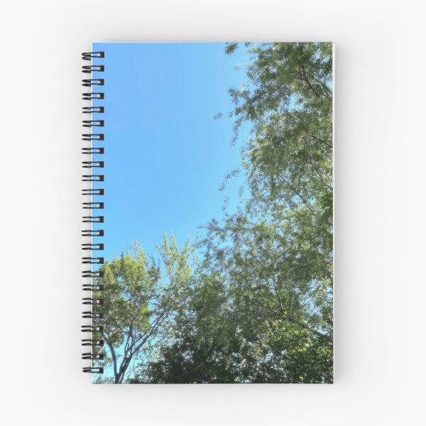 Aperçu de l'œuvre Arbres sur ciel bleu créée et vendue par SchooledDesigns.