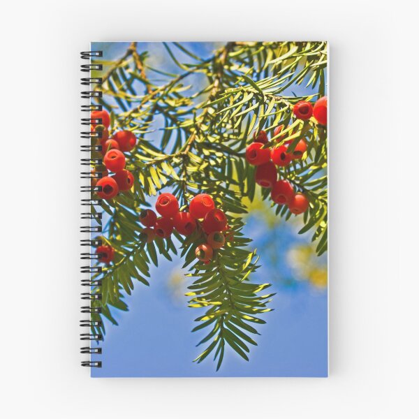 Item preview, Conifer designed and sold by Valerie  Fuqua.