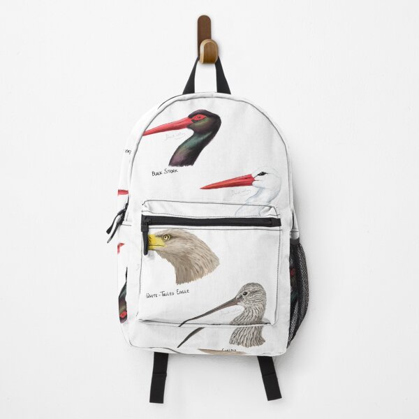 Item preview, Bring Back the Birds: Storks, Eagles, and Curlew designed and sold by DHeyDesigns.
