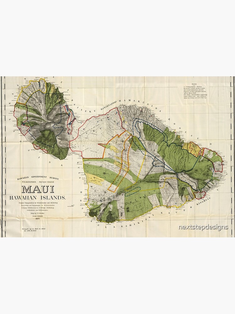 Hawaiian Islands Map, Island Maui, 1903 by John Donn by nextstepdesigns