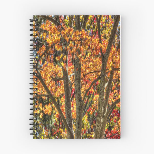 Item preview,  Autumn Colours Sleepy Hollow  designed and sold by Londonimages.