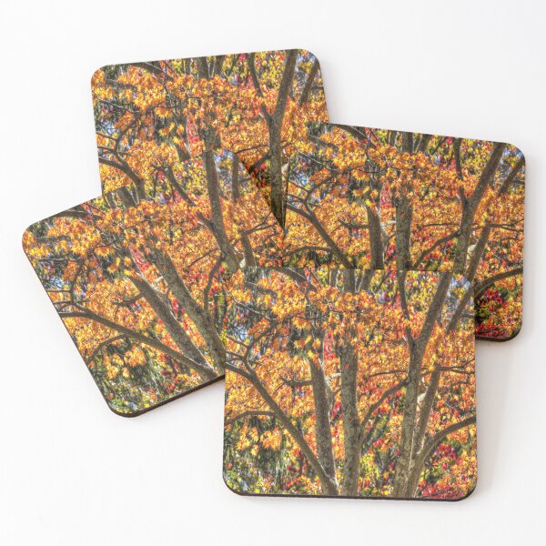 Item preview,  Autumn Colours Sleepy Hollow  designed and sold by Londonimages.