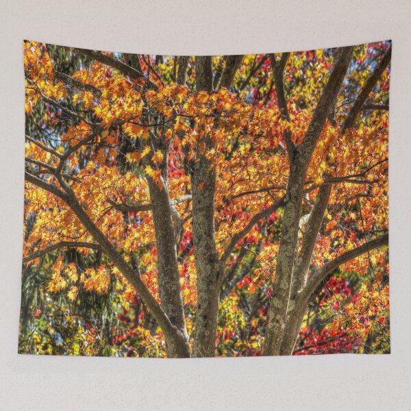 Item preview,  Autumn Colours Sleepy Hollow  designed and sold by Londonimages.