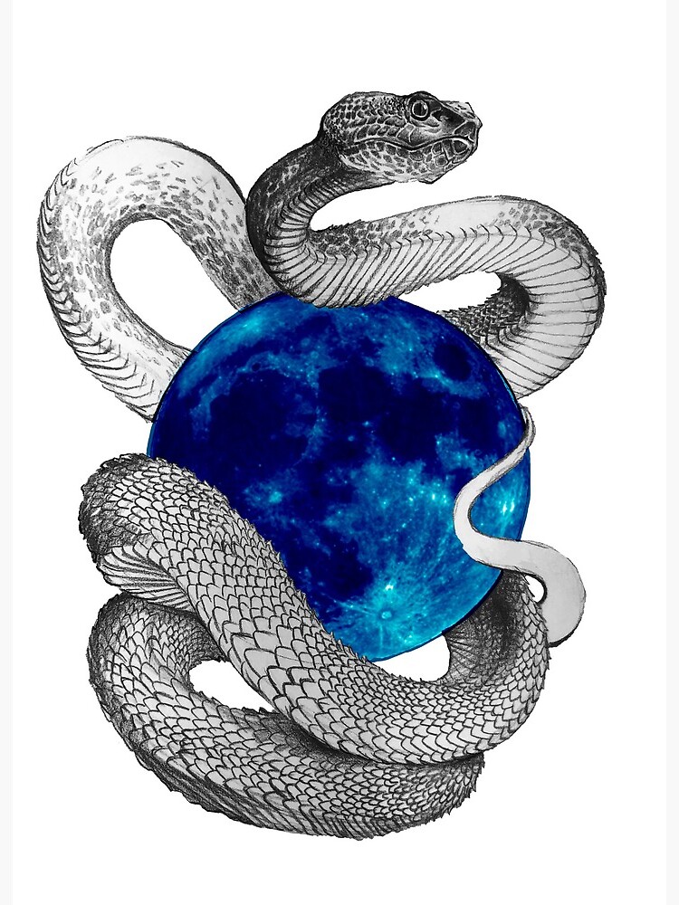 Coiled Snake And Crescent Moon Detailed Illustration Tribal Serpent In  Black Isolated Over White Background Vector Tattoo Design Royalty Free  SVG Cliparts Vectors And Stock Illustration Image 134437949
