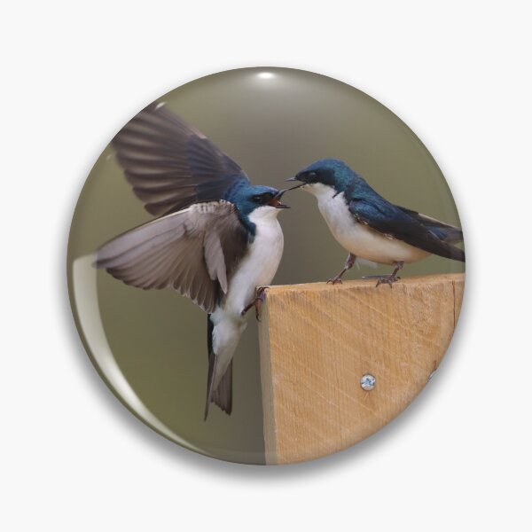 Item preview, Tree Swallow Couple designed and sold by LisaNaturePhoto.