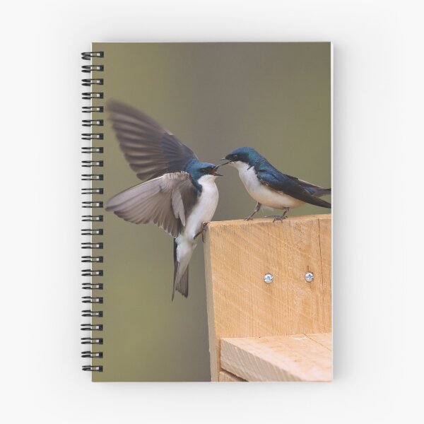 Item preview, Tree Swallow Couple designed and sold by LisaNaturePhoto.