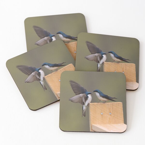 Item preview, Tree Swallow Couple designed and sold by LisaNaturePhoto.