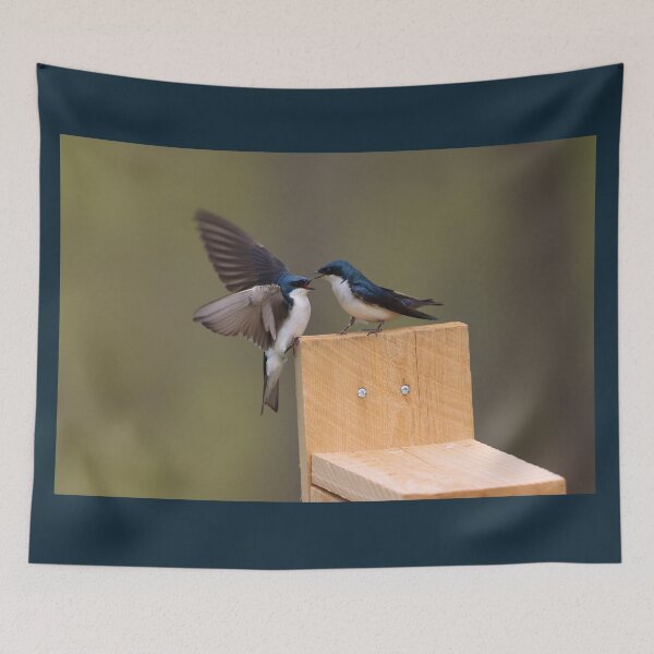 Item preview, Tree Swallow Couple designed and sold by LisaNaturePhoto.