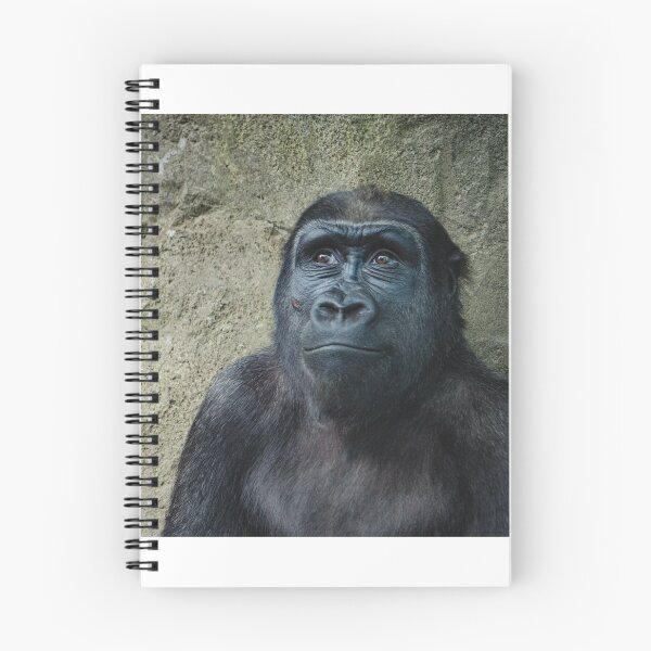 Aperçu de l'œuvre Singe créée et vendue par LukeMoch.
