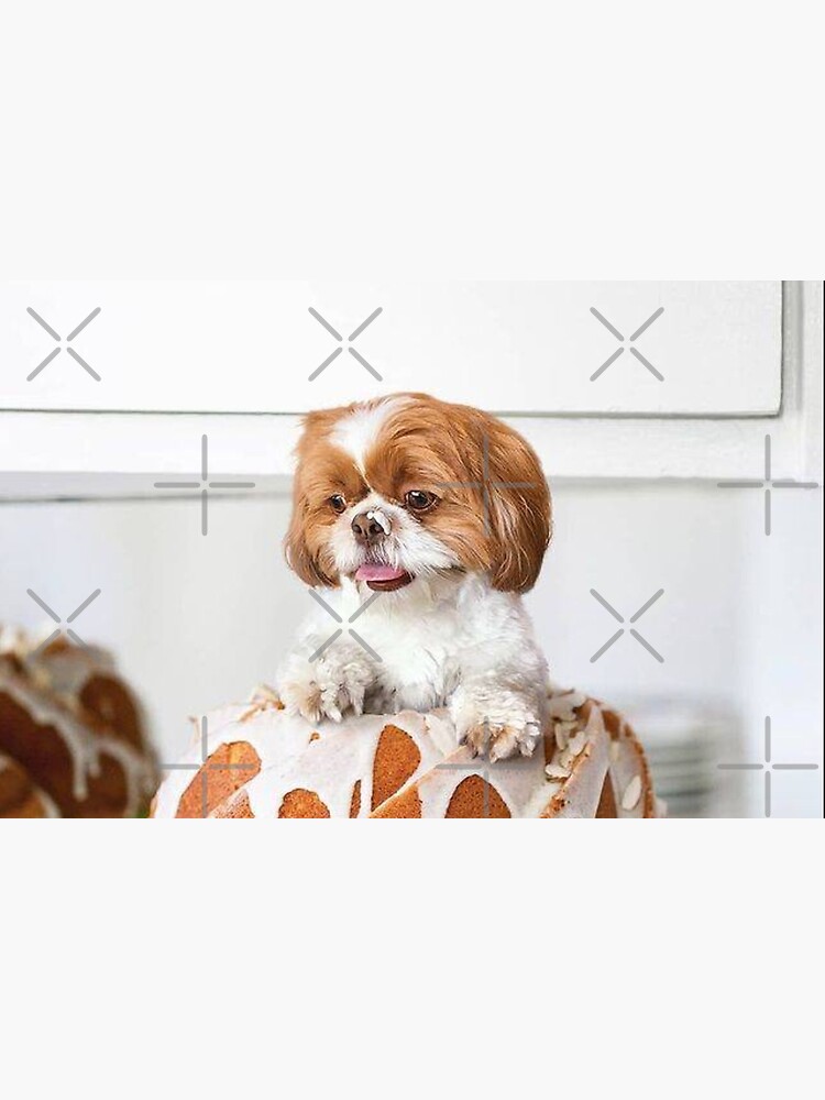 Shih Tzu Cake : r/cakedecorating