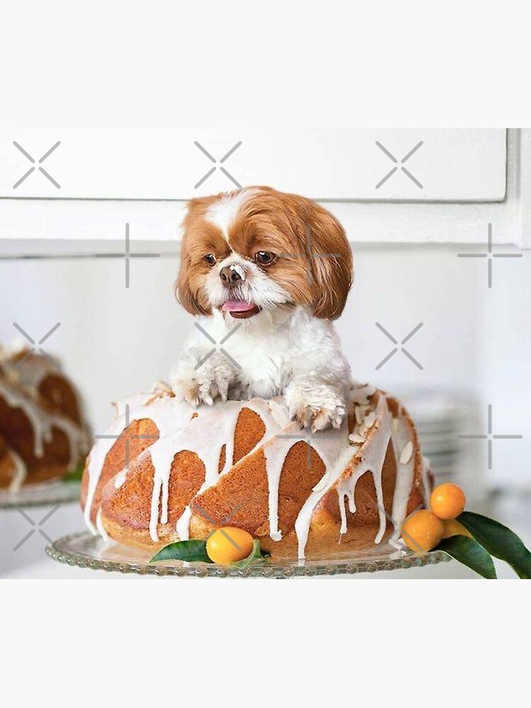 Shih tzu 2025 cake design