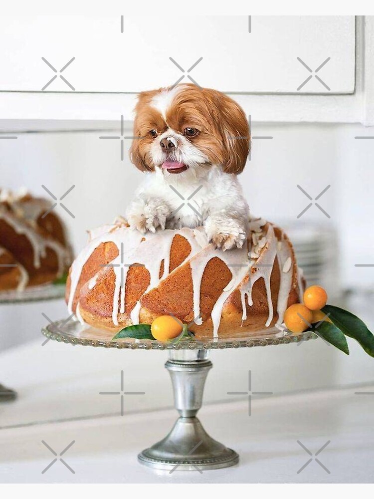 shih tzu cake
