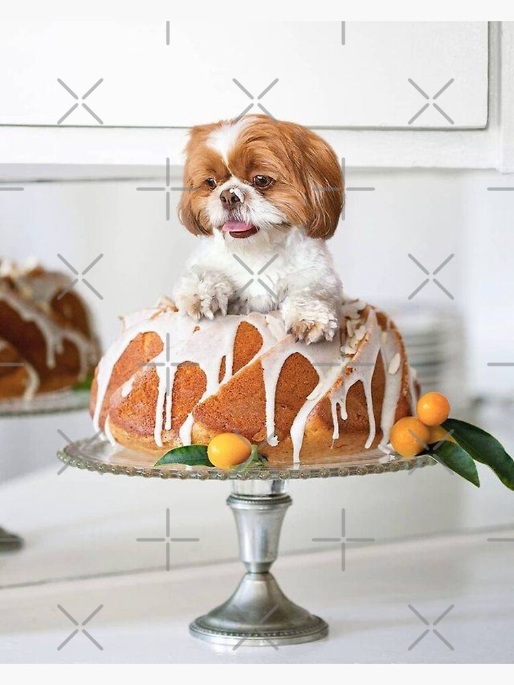 Shih Tzu Cake | Dog Cakes