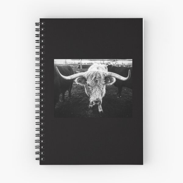 Item preview, Longhorns - black and white  designed and sold by Rebeccadalton.