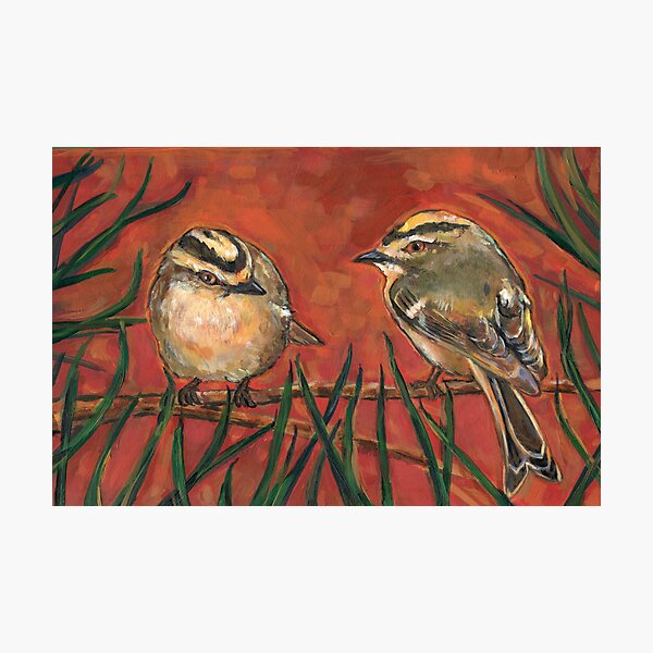 Item preview, Golden Crowned  Sparrow designed and sold by boyerzzolo.