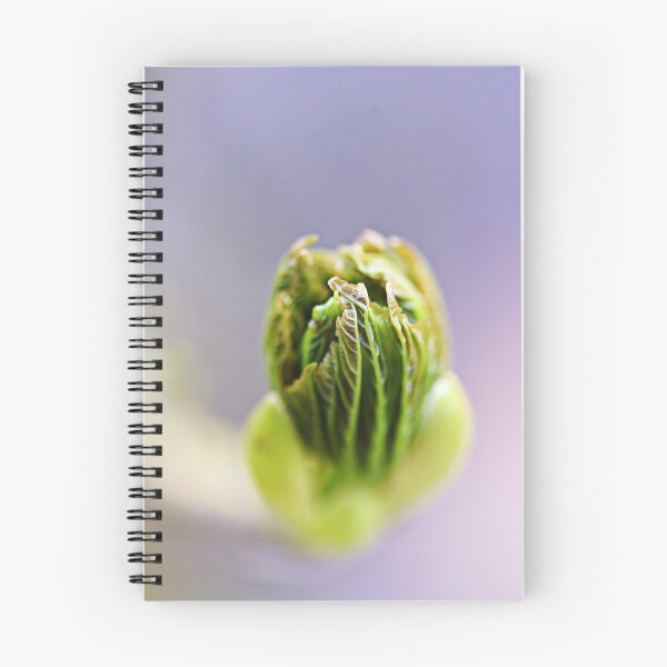 Item preview, Photo of a closed flower by the stream designed and sold by ODENWALD-Natur.