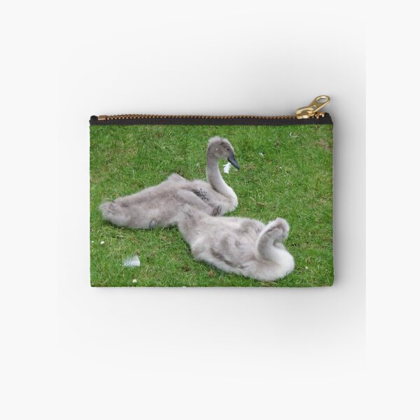 Item preview, Cygnets irlandeses designed and sold by stormygt.