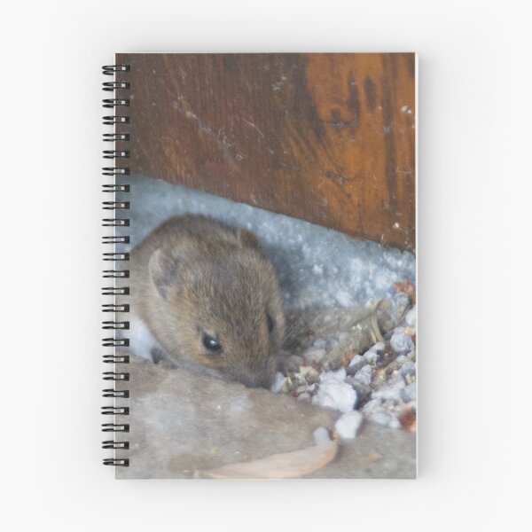 Item preview, Tiny Mouse designed and sold by Calidris Fotografie Steffi & Ben Köppler.