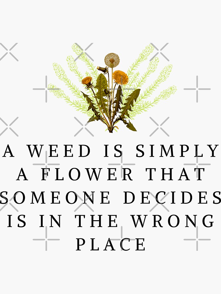 "A Weed Is Simply A Flower that Someone Decides is in the Wrong Place