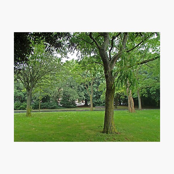 Item preview, St Stephen's Green designed and sold by stormygt.