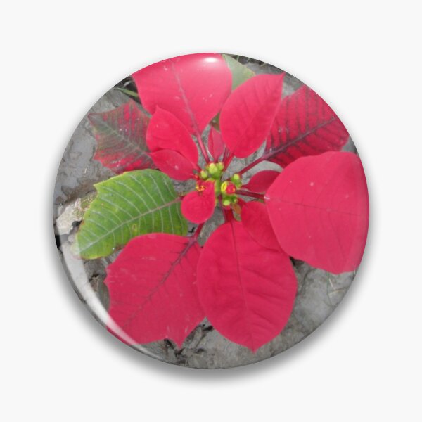 Item preview, FLOWER.TREES. RED.NATURE designed and sold by kajolchandanart.