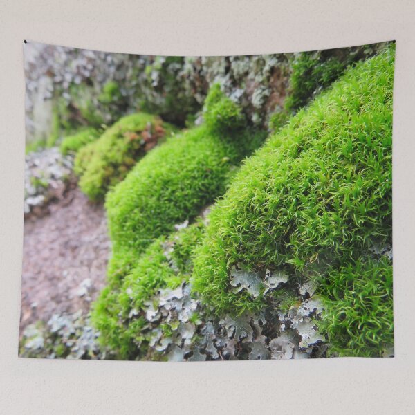 Item preview, moss designed and sold by Connys Colorful World.