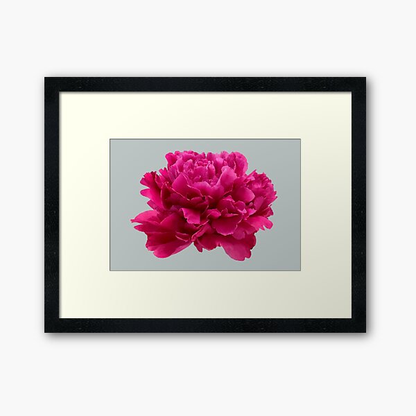 Item preview, Hot Pink Peony Close-up designed and sold by InalterataArt.