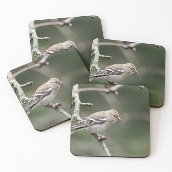 Item preview, Common chaffinch female designed and sold by Jouko Lehto Photography.