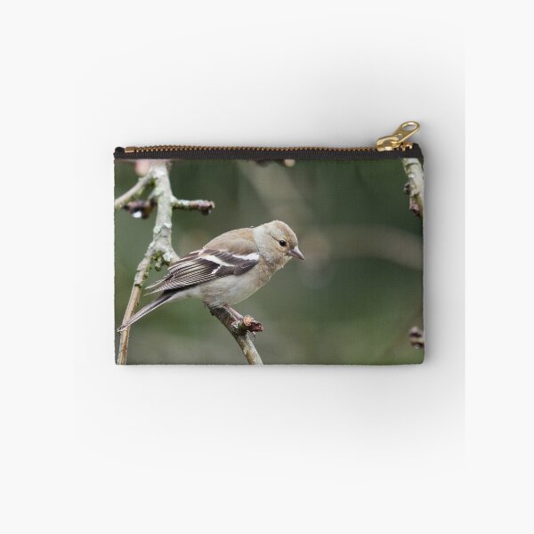 Item preview, Common chaffinch female designed and sold by Jouko Lehto Photography.