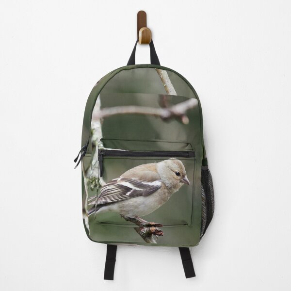 Item preview, Common chaffinch female designed and sold by Jouko Lehto Photography.