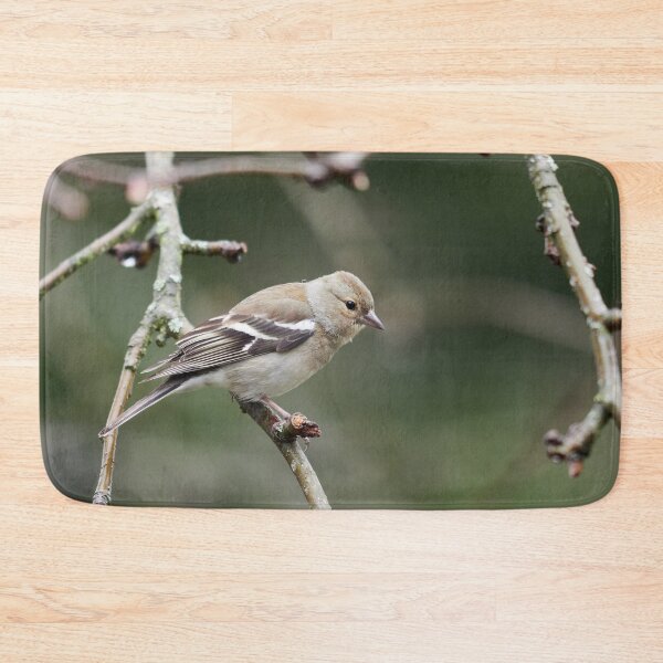 Item preview, Common chaffinch female designed and sold by Jouko Lehto Photography.