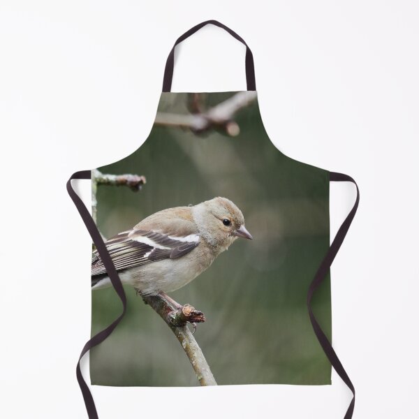 Item preview, Common chaffinch female designed and sold by Jouko Lehto Photography.