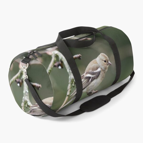 Item preview, Common chaffinch female designed and sold by Jouko Lehto Photography.