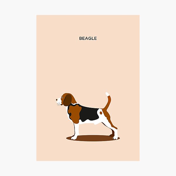 Item preview, Beagle Hound Dog Illustration designed and sold by DDoodleDesigns.