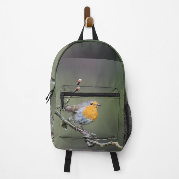 Item preview, European robin stop motion designed and sold by Jouko Lehto Photography.