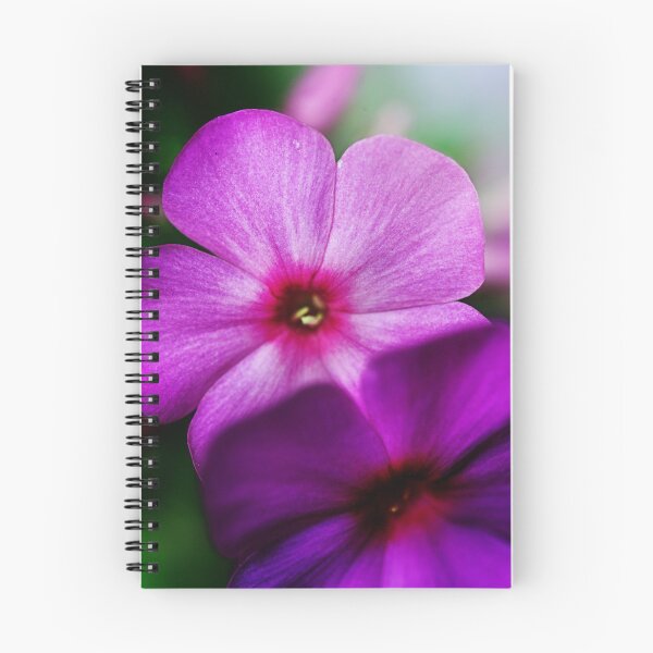 Item preview, Purple / pink colored flower in a meadow designed and sold by ODENWALD-Natur.